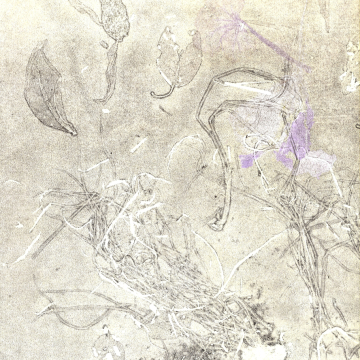 Floral Malfunctions VIII. Monotype, 30 x 40 cm, 2023.