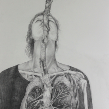 Lungs. Pencil. 59 x 84 cm. 2020